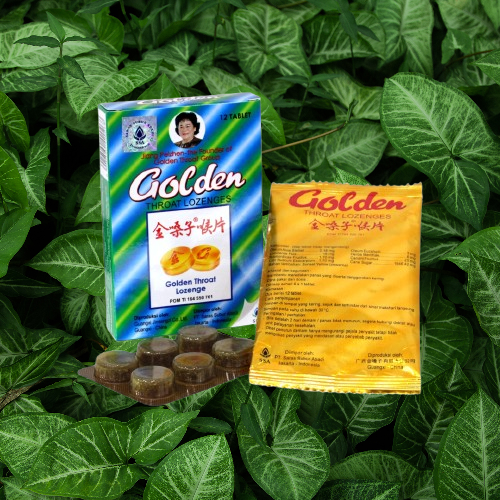 IMG-PRODUCT